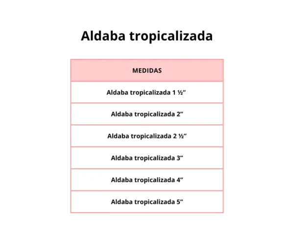 Aldaba tropicalizada - Image 3